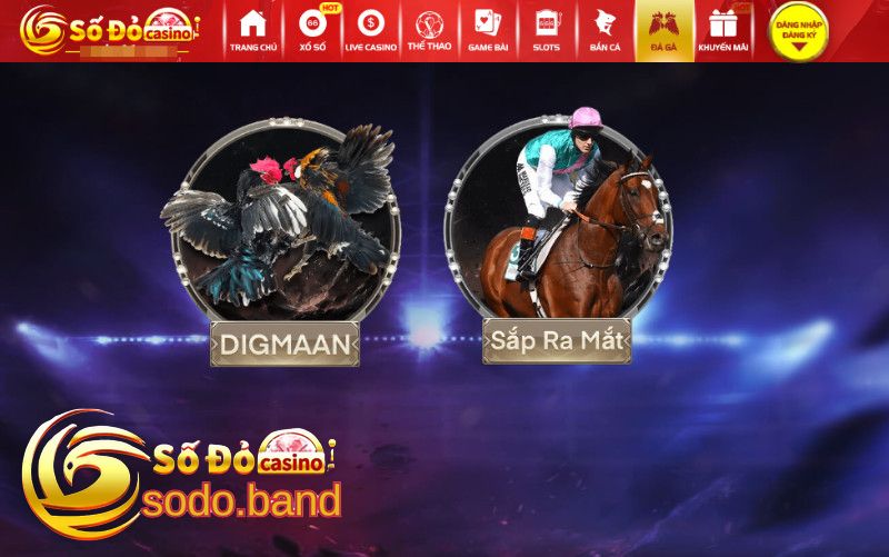 Đá Gà Sodo
