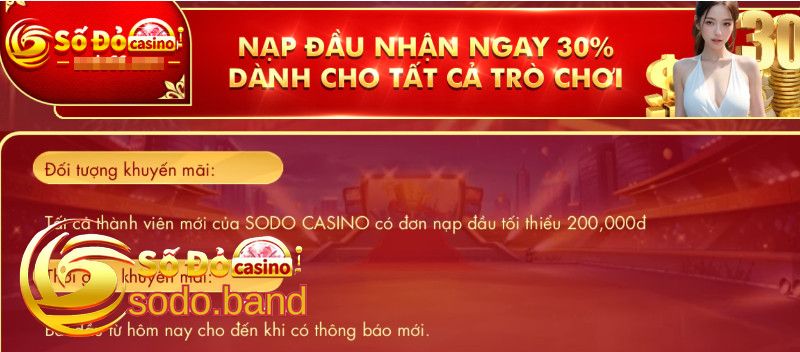 Nhận Thêm 30% Khi Nạp Tiền Lần Đầu Cho Thành Viên Mới