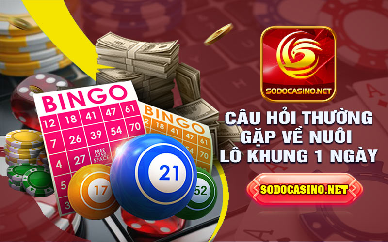 Lô Khung 1 Ngày | Hướng Dẫn Chơi Siêu Chuẩn Cho Người Mới Những câu hỏi thường gặp về nuôi lô khung 1 ngày