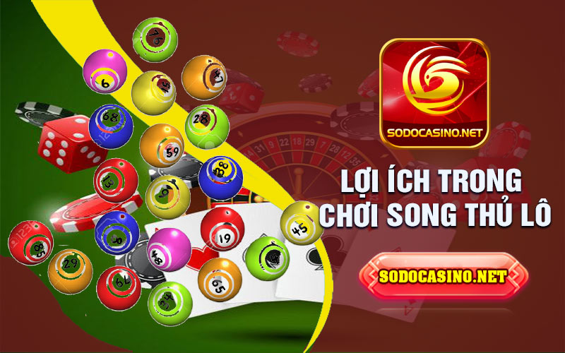 Song Thủ Lô Nuôi Khung 2 Ngày Tổng quan về song thủ lô
