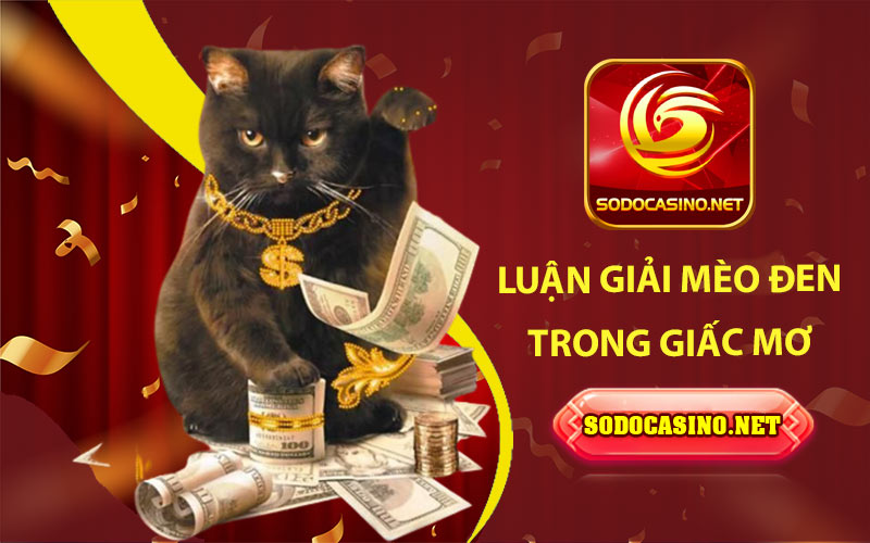 Mơ Thấy Mèo - Luận Giải Giấc Mơ & Những Con Số Liên Quan Nằm mơ về mèo đen có xui không?