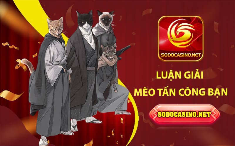 Mơ Thấy Mèo - Luận Giải Giấc Mơ & Những Con Số Liên Quan Luận giải mèo tấn công bạn đánh con gì?