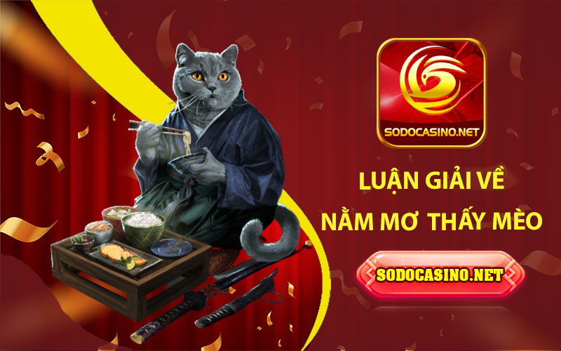 Mơ Thấy Mèo - Luận Giải Giấc Mơ & Những Con Số Liên Quan Luận giải về nằm mơ về mèo