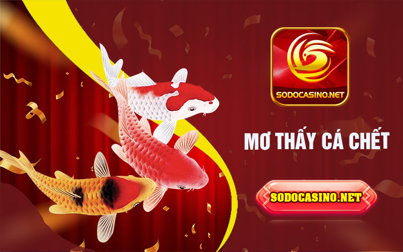 Mơ Thấy Cá | Giải Mã Những Giấc Mơ Liên Quan Đến Cá Mơ thấy cá chết