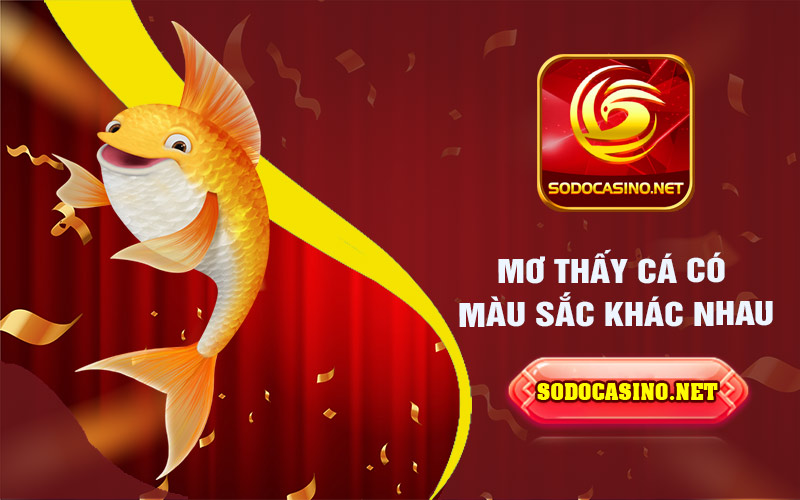 Mơ Thấy Cá | Giải Mã Những Giấc Mơ Liên Quan Đến Cá Màu sắc khác nhau
