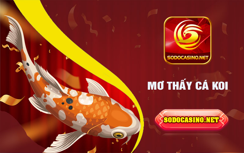 Mơ Thấy Cá | Giải Mã Những Giấc Mơ Liên Quan Đến Cá Mơ thấy cá Koi