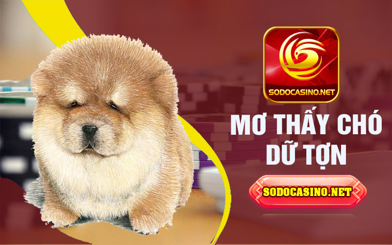 Mơ thấy chó dữ tợn