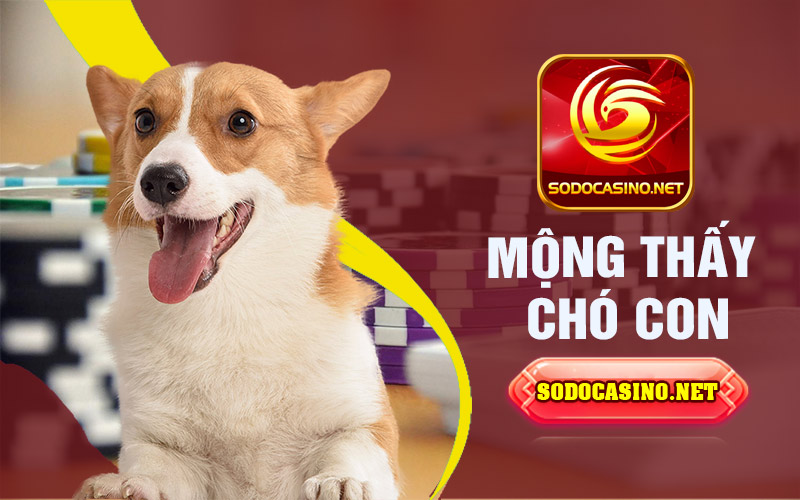 Mộng thấy chó con