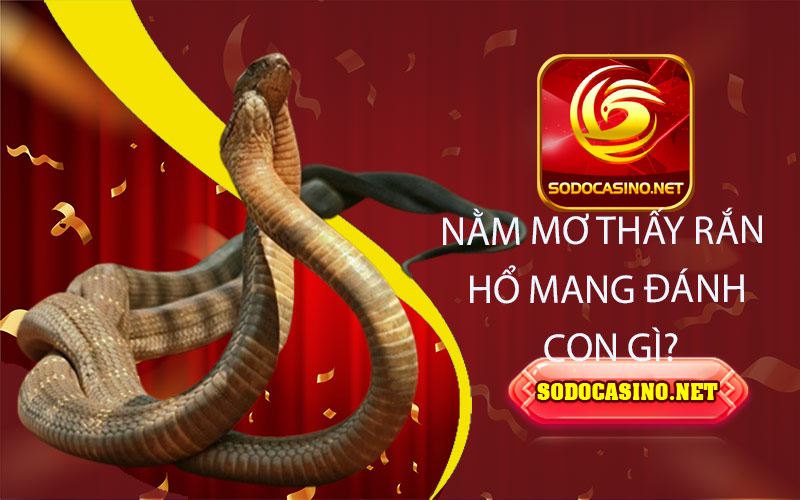 Mơ Thấy Ma | Tổng Hợp Giải Mã Những Giấc Mơ Hằng Ngày Của Bạn Nằm mơ thấy rắn hổ Mang đánh con gì?