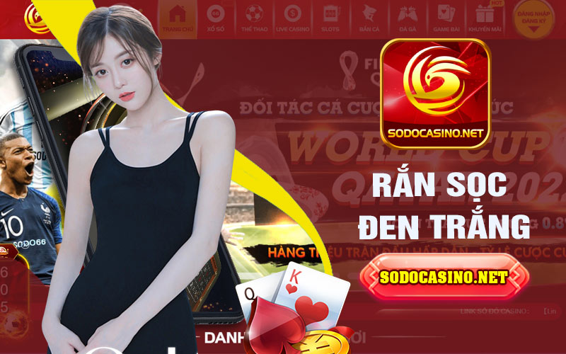 Mơ Thấy Rắn | Điềm Báo Cho Cặp Số May Mắn Nào? Rắn sọc đen trắng