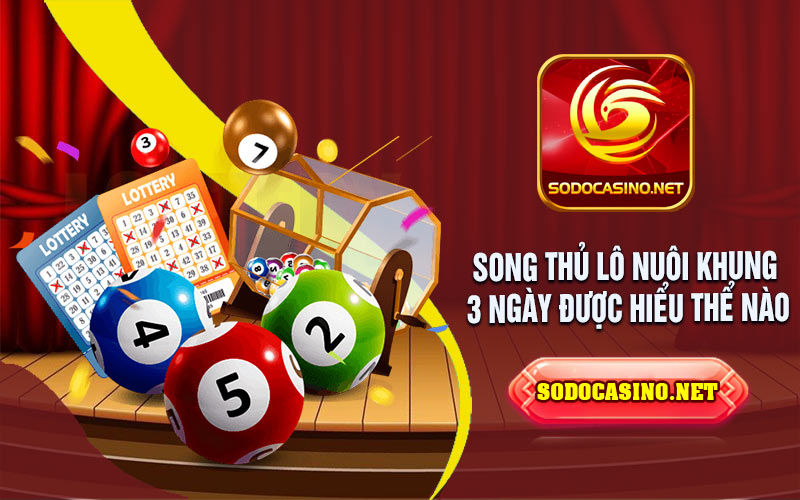 Song Thủ Khung 3 Ngày Miễn Phí nuôi khung 3 ngày tại Song thủ là Như thế nào?