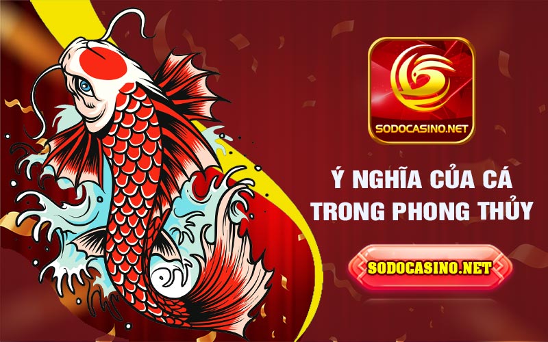 Mơ Thấy Cá | Giải Mã Những Giấc Mơ Liên Quan Đến Cá Ý nghĩa của cá trong phong thủy