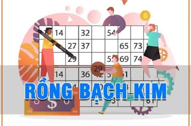 Rồng bạch kim là gì?